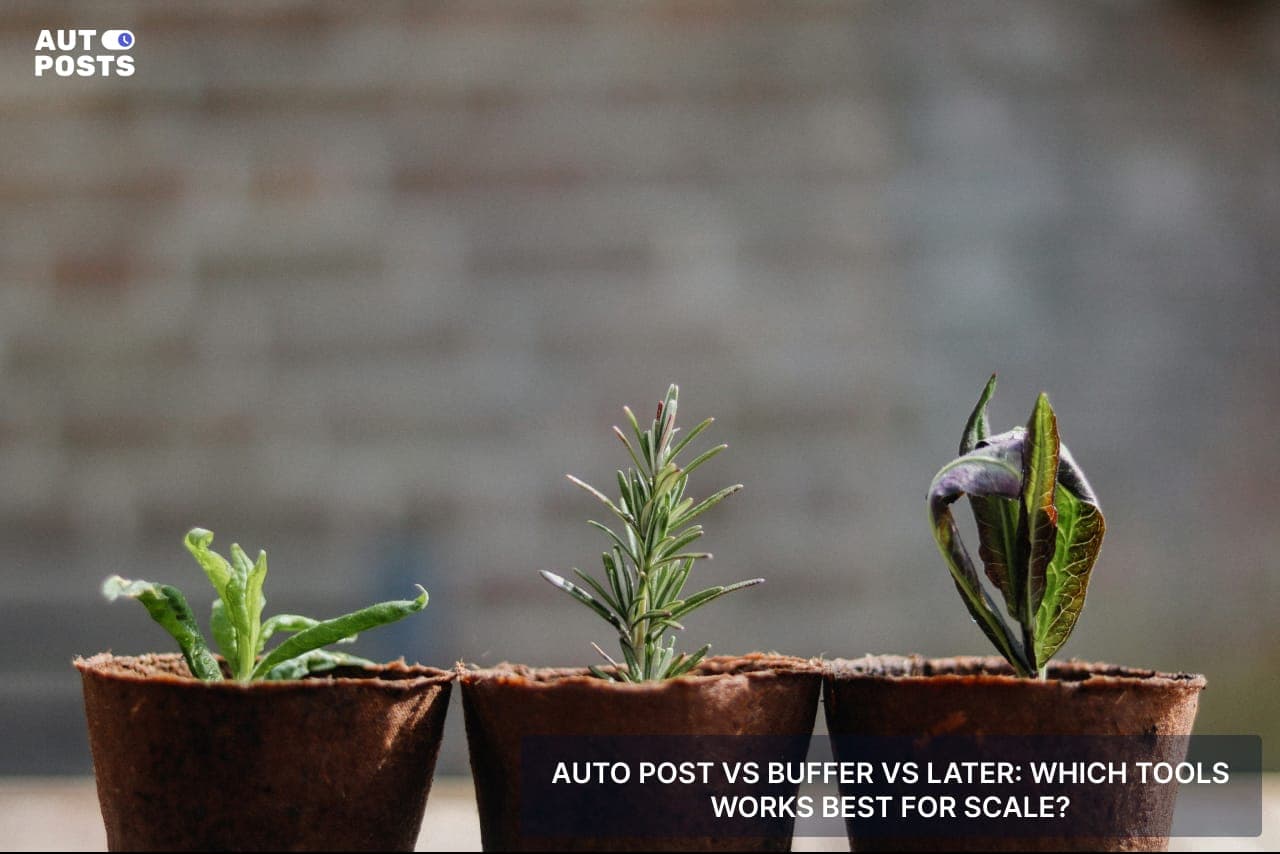 Auto Post vs Buffer vs Later Which Tool Works Best for Scale — cover