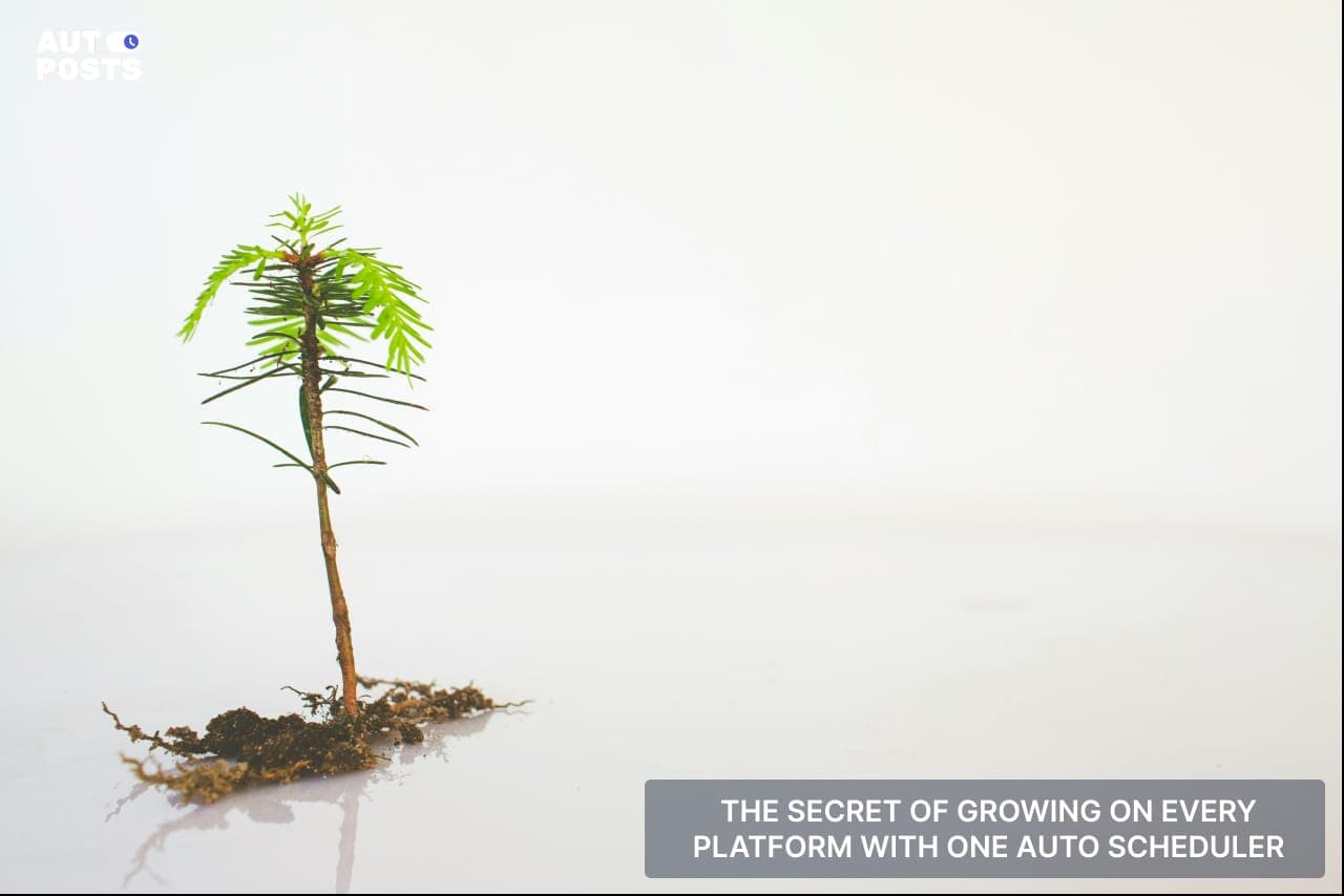 The Secret to Growing on Every Platform with One Auto Scheduler — cover